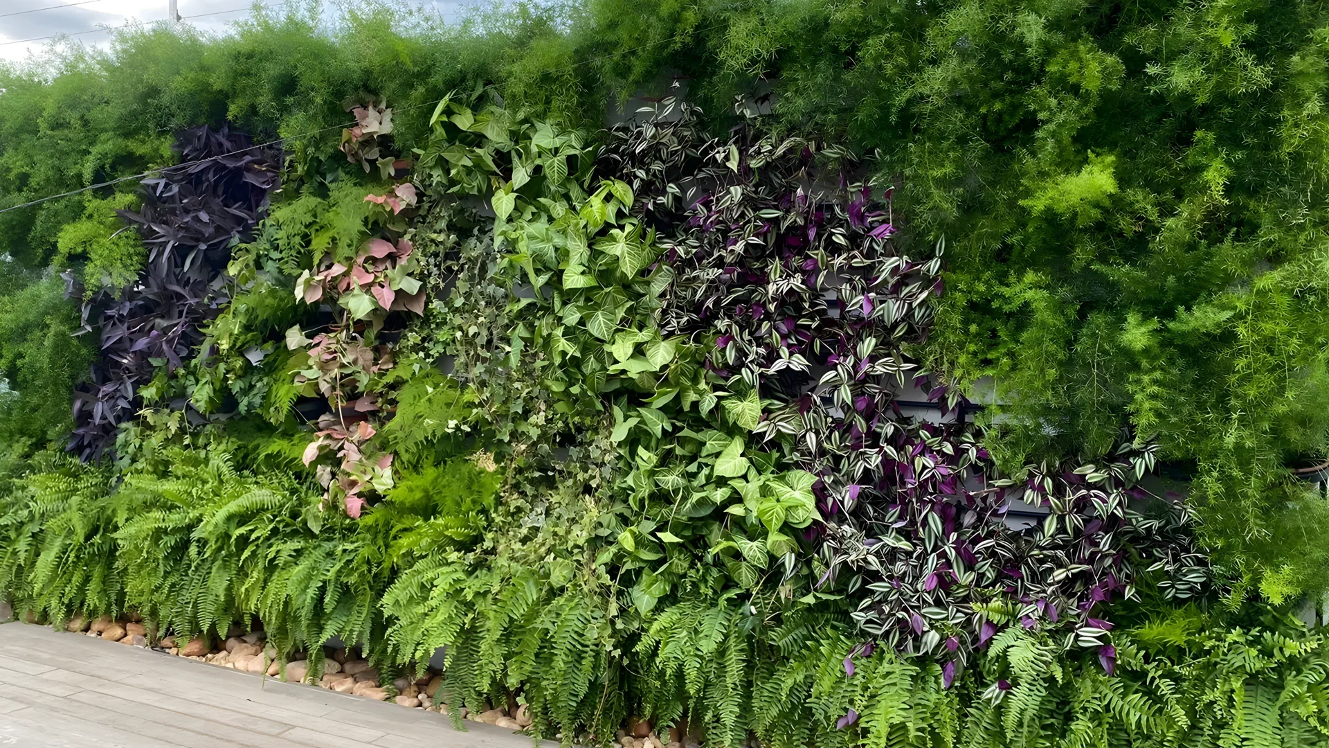 Paisagistas Greenup